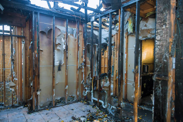 Professional Fire Damage Assessment technician working in Vanceburg, KY
